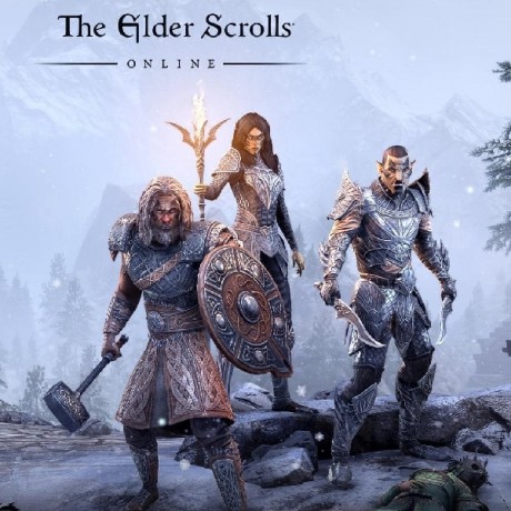 خرید بازی The Elder Scrolls Online استیم | فروشگاه ریلود گیم